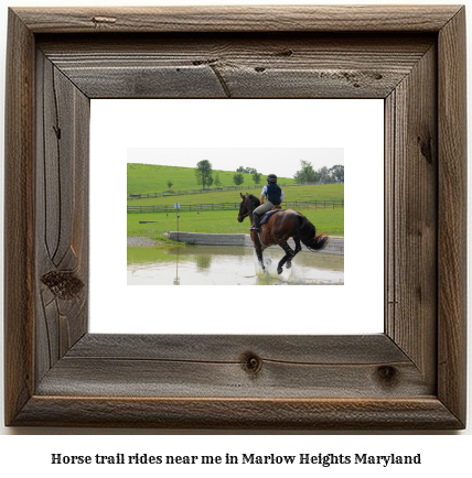 horse trail rides near me in Marlow Heights, Maryland